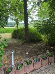 a garden with some plants and a tree at Red Dot Apartment Otto in Hamm