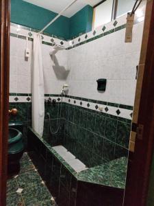 a green and white bathroom with a tub and a toilet at Casa de Manolo in Chiclayo