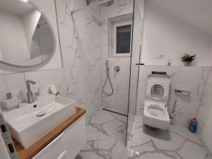 a bathroom with a sink and a toilet and a shower at Vikendica Dijana Ramsko jezero in Ploča +15 photos