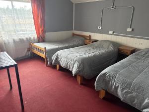 Gallery image of Hostal Papo in Osorno