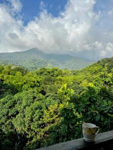 صورة لـ Hostal Los Wichos في مينسا +48 صورة