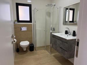 a bathroom with a shower and a toilet and a sink at צלילי הנחל in Metulla