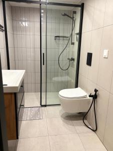 a bathroom with a shower and a toilet and a sink at Apartament u Gustawa Klimta Frombork in Frombork +38 photos
