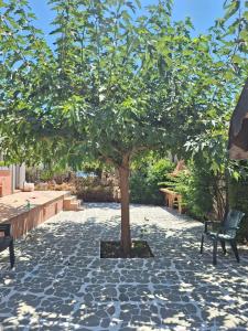 a tree in the middle of a patio with two benches at House by the sea in Kalamáki +11 photos