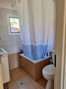 a bathroom with a shower curtain and a toilet at House by the sea in Kalamáki