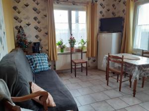 un soggiorno con divano e albero di Natale di Studio du gite a Wavrans-sur-lʼAa