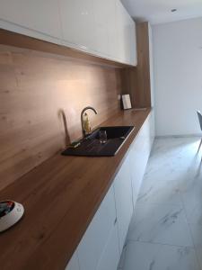 ヴィアにあるappartements familialのキッチン(シンク、木製カウンタートップ付)