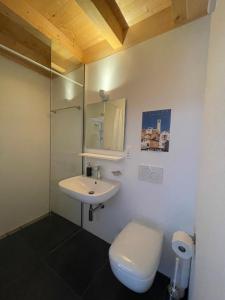 Ένα μπάνιο στο Alpine Dream Chalet with Spa close to Lake Geneva