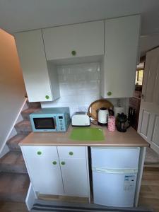 a kitchen with a counter top with a microwave at Beejou in Sedlescombe