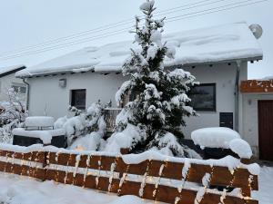 a house with a christmas tree covered in snow at FeWo Riegel - Allgäu nah an A7 & Legoland in Illertissen