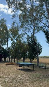 Foto dalla galleria di Laguna Park a Divjakë