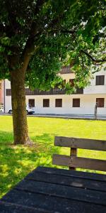 ジアーノ・ディ・フィエンメにあるTrilocale mansardato nel cuore della Val Di Fiemmeの木の横の公園ベンチ