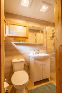 a bathroom with a toilet and a sink at Zacisze Domki Letniskowe Karsibór Świnoujście in Świnoujście