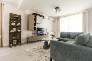 a living room with a couch and a tv at Isa Residence - Otopeni Airport & Therme I Libertatii Gardens - free pool facilities in Otopeni