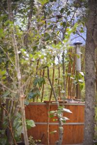 Fotografie z fotogalerie ubytování Cabañas Sol de Montañas v destinaci Futaleufú