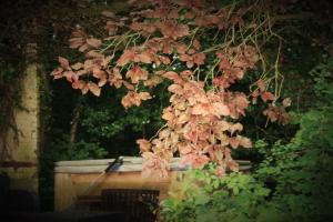 Um jardim em Lumen7