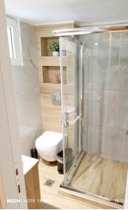 a bathroom with a shower and a toilet in it at Villa Laskarina in Skala Sotiros +26 photos