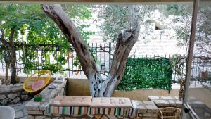 a tree sitting next to a bench next to a tree at Casa Nonna Traditional guest house in Oziás
