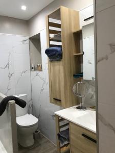 ein Badezimmer mit Toilette, Waschbecken und Dusche in der Unterkunft Domaine De Miraval in Belleserre