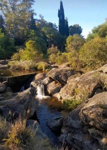 a waterfall in a river with rocks and trees at Punto campestre in Cueva de los Pajaritos