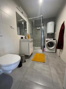 a bathroom with a toilet and a sink and a washing machine at U Harryho Pottera in Spišská Nová Ves