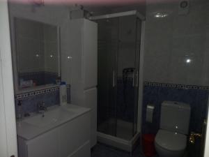 a bathroom with a shower and a toilet and a sink at La Viña in Zamora +12 photos