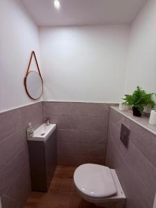 a bathroom with a toilet and a sink and a mirror at logement 3 pièces à 10 minutes du célèbre marché de Noël de Strasbourg in Schiltigheim +10 photos