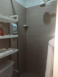 a bathroom with a shower with a toilet and a sink at MiniSuite in Machala