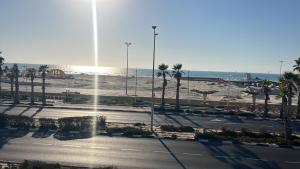 a view of a beach with palm trees and a fountain at Sea side Ashdod יא in Ashdod