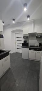 Η κουζίνα ή μικρή κουζίνα στο Apartament Antracyt