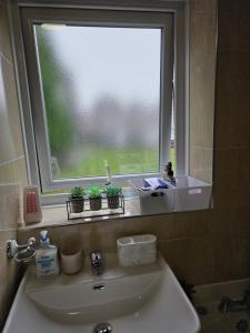 a bathroom sink with a window with potted plants on it at Stylish and Comfortable Home in Beeston +49 photos