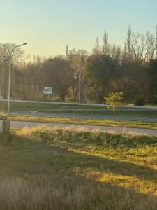 un camino vacío con un semáforo y árboles en Departamento Castello -Viedma, en Viedma