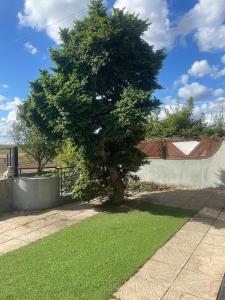 Ein Baum in einem Garten neben einem Zaun in der Unterkunft 4 Bed Family & Work Ready Home in Ponders End + 8 Fotos