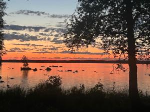 - un coucher de soleil sur un lac avec des canards dans l'eau dans l'établissement Traditional Finnish lakeside off-grid cabin, à Joensuu