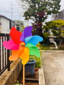 麗静亭外面的花园
