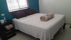 a bed with a pillow on it in a bedroom at CASA con 2 habitaciones, Cocina,comedor y baño privados in Candelaria