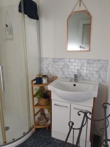un bagno con un lavandino bianco e una doccia di CROOKED MILE COTTAGE - BY THE SEA history and charm a Hokitika Altre 37 foto