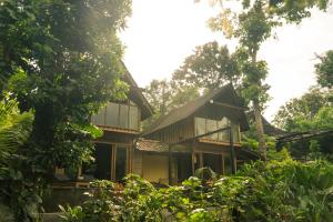 a house in the woods with trees at Lotus Forest Houses in Ngingas