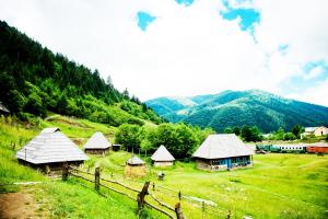 a group of huts in a field with mountains at Stare Selo in Kolochava