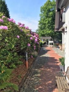einen Garten mit rosa Blumen neben einem Gebäude in der Unterkunft Hotel-Pension Teutonia in Braunlage