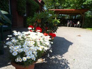 Zahrada ubytování Haus am Deich