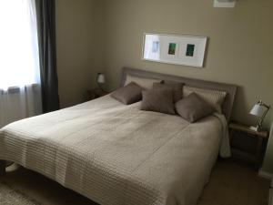 1 dormitorio con 1 cama grande y 2 almohadas en SEELIG`S en Weinsheim