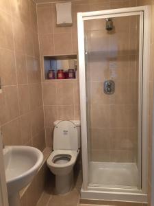a bathroom with a toilet and a sink and a shower at Central city 1 bed apartment in Bath