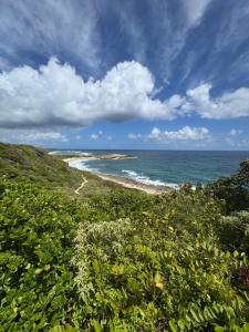 a view of the ocean from a hill with bushes at Madikera Resort Beach Near in Saint-François