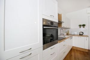 Kuchyň nebo kuchyňský kout v ubytování Apartment Amber