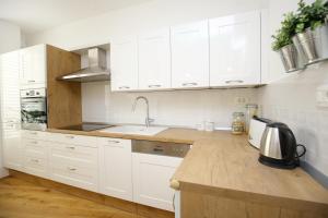 Kuchyň nebo kuchyňský kout v ubytování Apartment Amber
