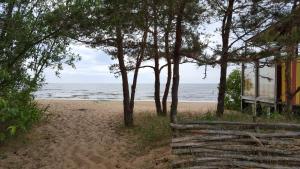 a beach with a fence and trees and the ocean at Saulrieti in Saulkrasti