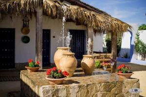 three large vases sitting on a stone table with flowers at Alojamiento Rural "El Charco del Sultan" in Conil de la Frontera