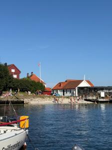 a group of people on the beach in the water at Tiny house in Arendal in Arendal