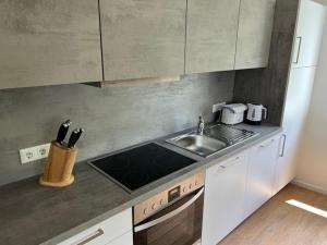 Gambar di galeri bagi Ferienwohnung Penthouse XL di Unterburg am Klopeiner See +5 gambar